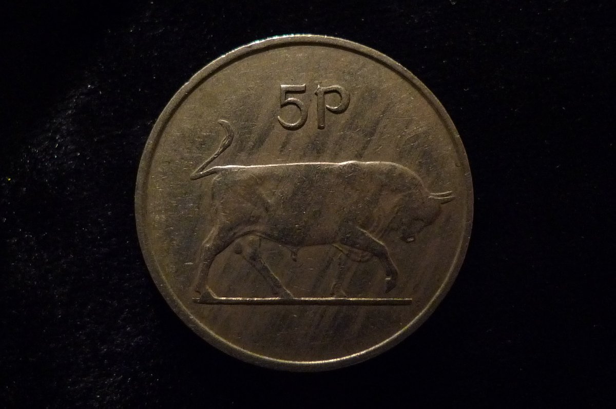 Post-Your-Coins-Representing-The-Animal-Kingdom.