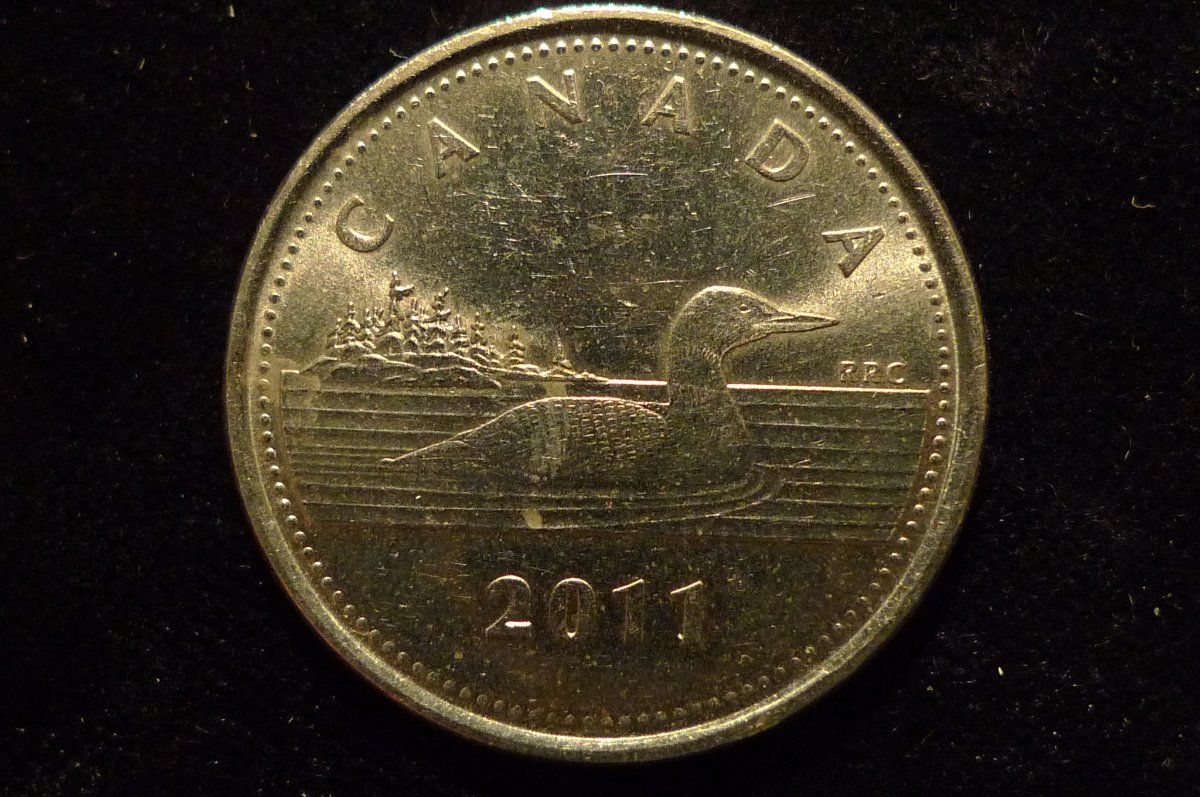Post-Your-Coins-Representing-The-Animal-Kingdom.