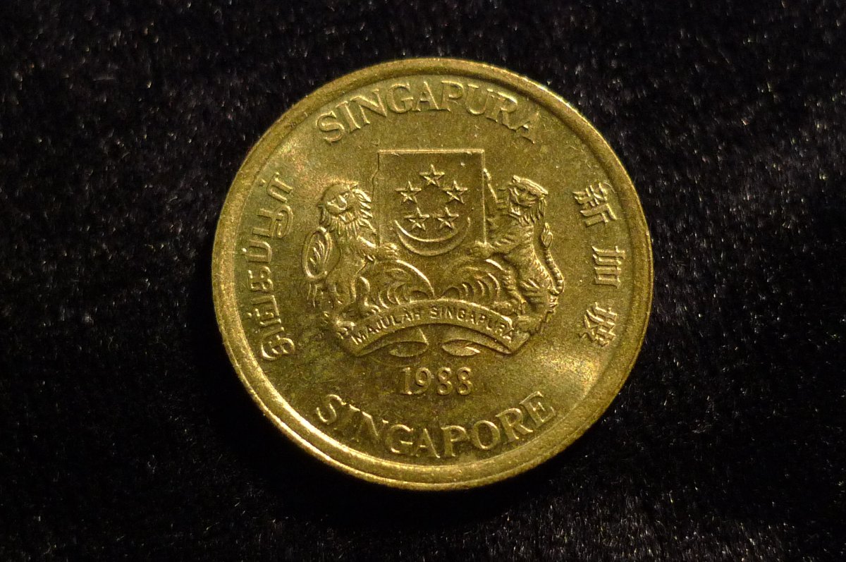 Post-Your-Lion-Coins!
