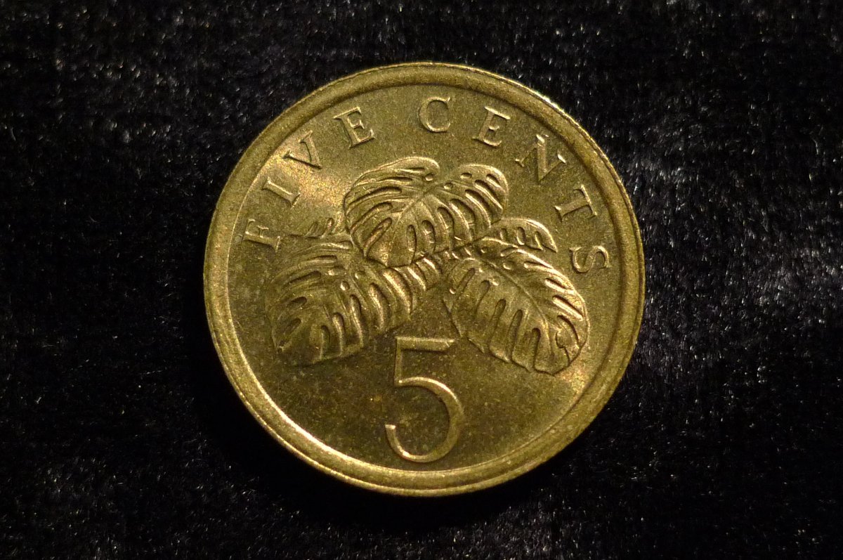 Post-Your-Lion-Coins!