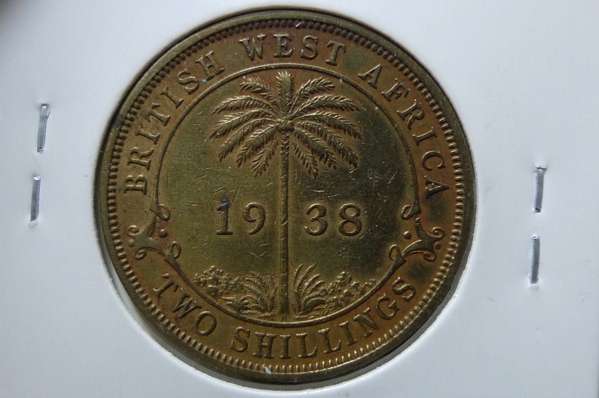 Post-Your-Coins-And-Medals-With-Trees