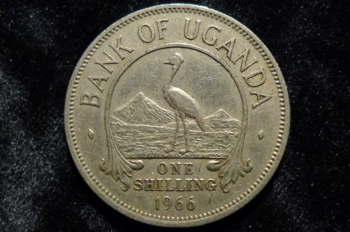 Post-Your-Sun-Face,-Sunrise,-Or-Sunset-Coins!