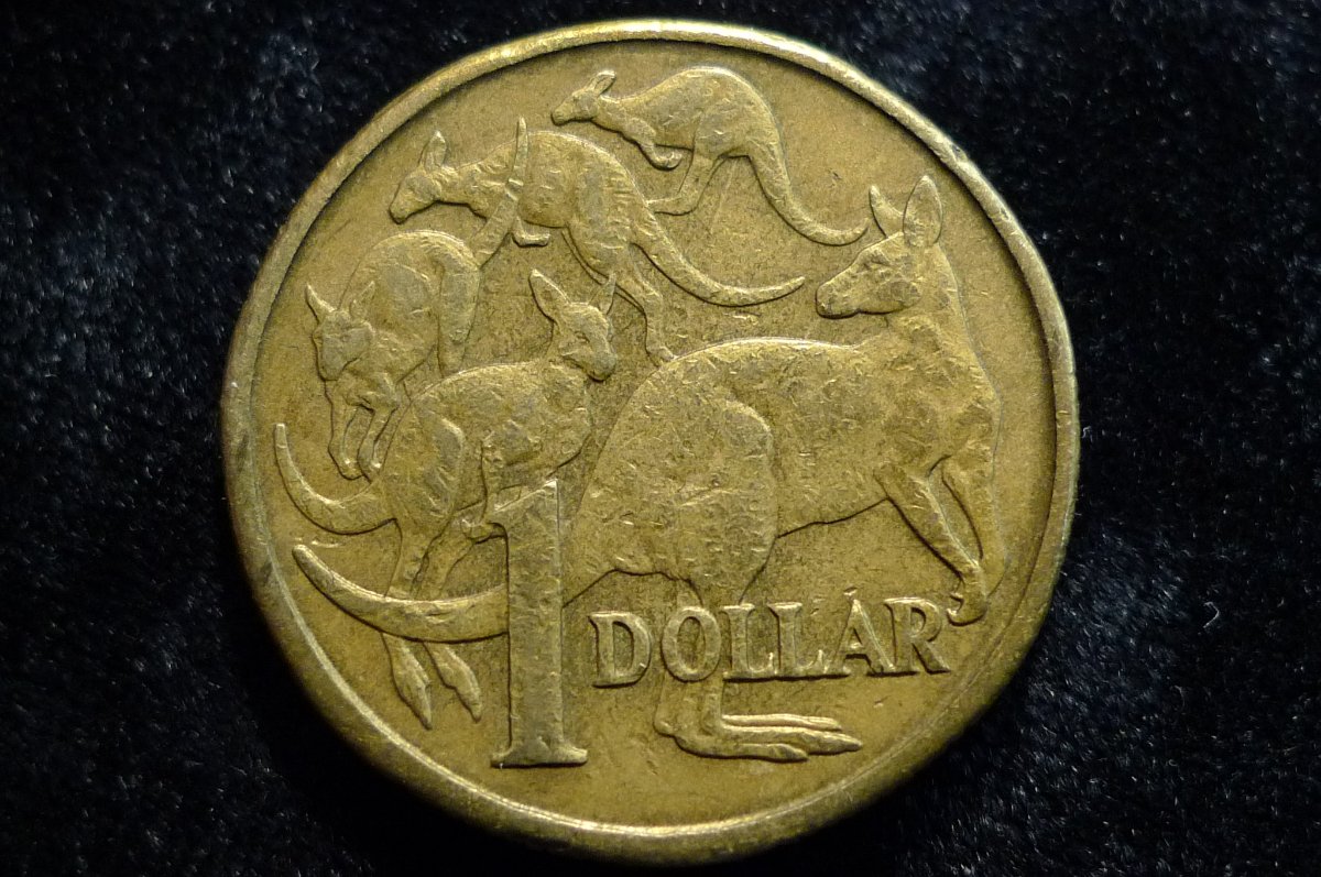 Post-Your-Coins-Representing-The-Animal-Kingdom.