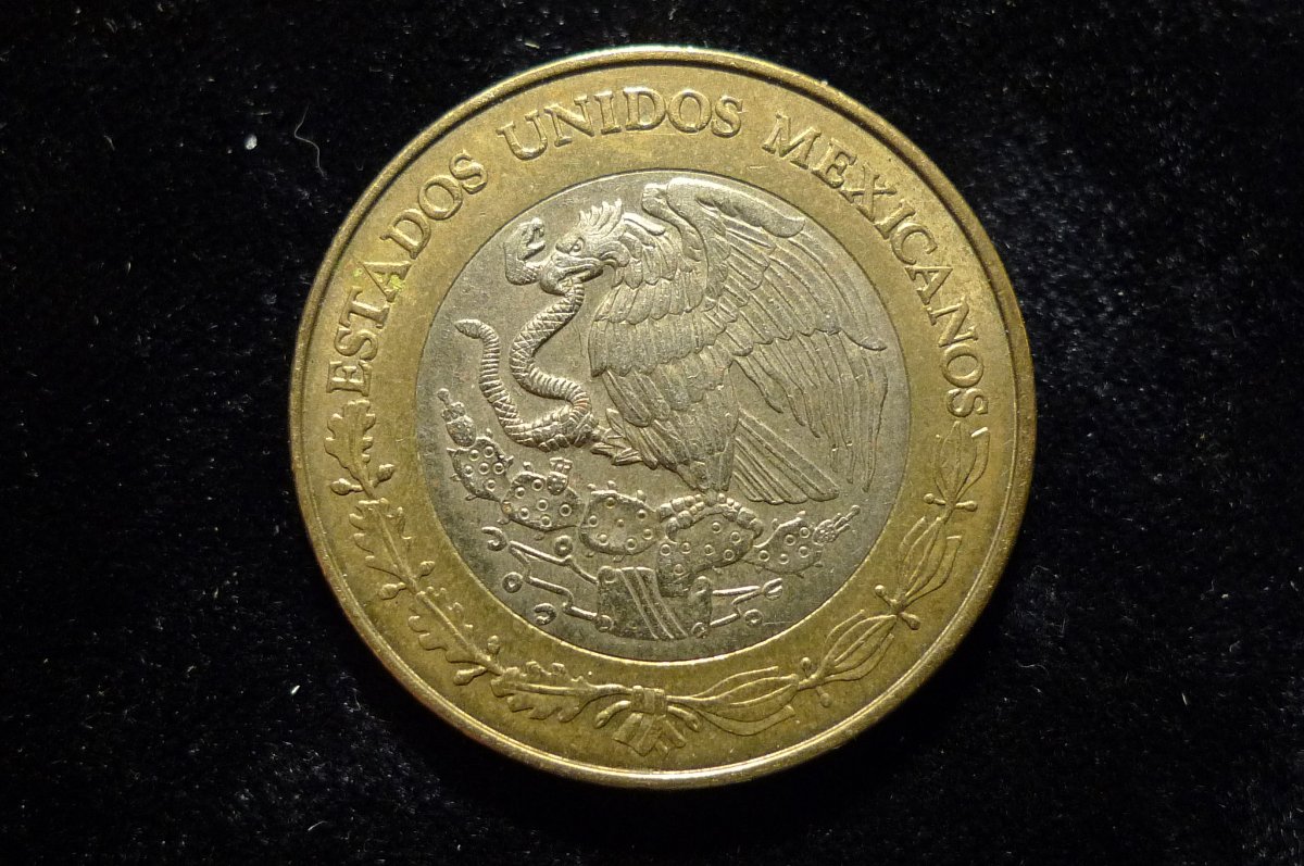 Post-Your-Coins-Representing-The-Animal-Kingdom.