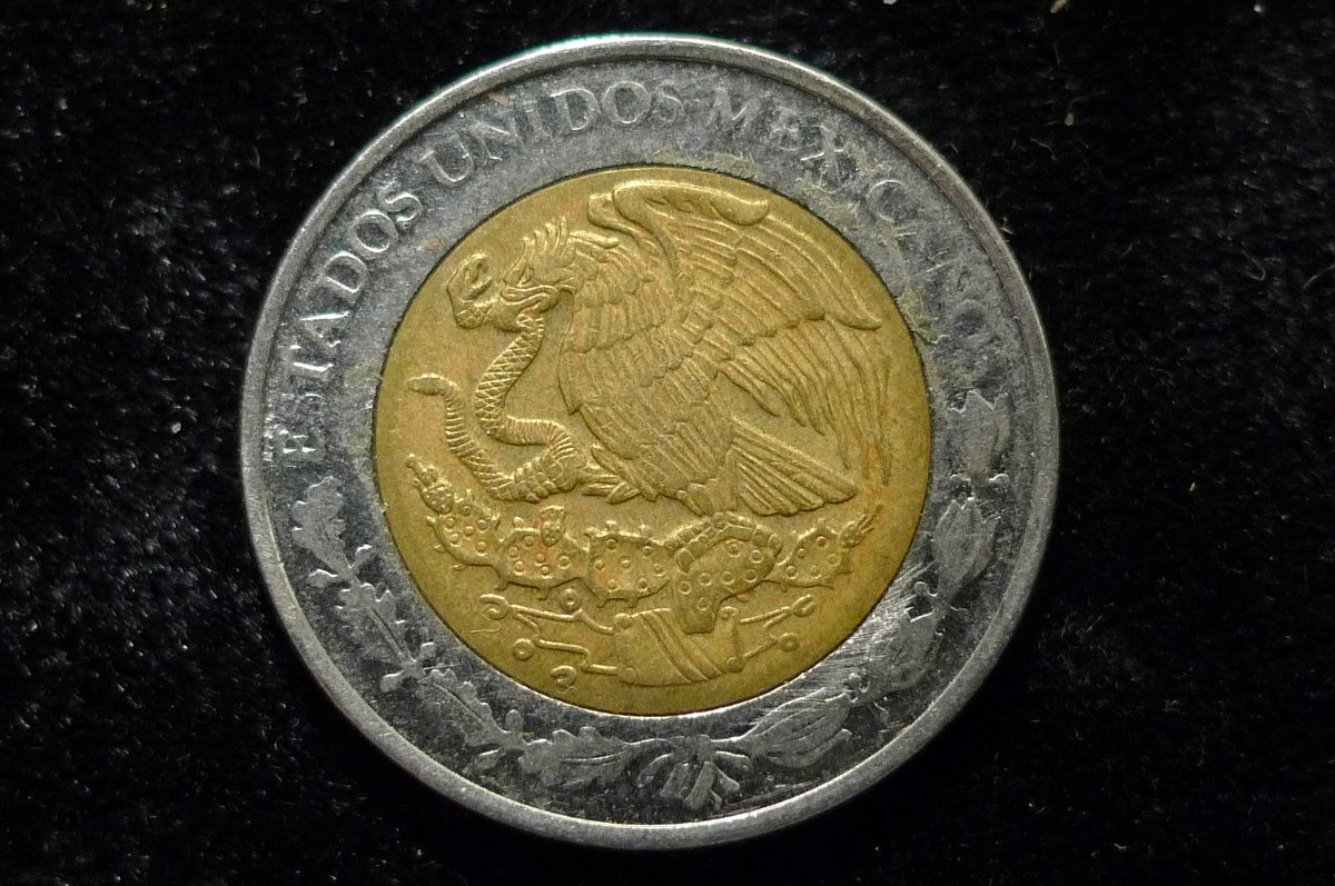 Post-Your-Coins-Representing-The-Animal-Kingdom.