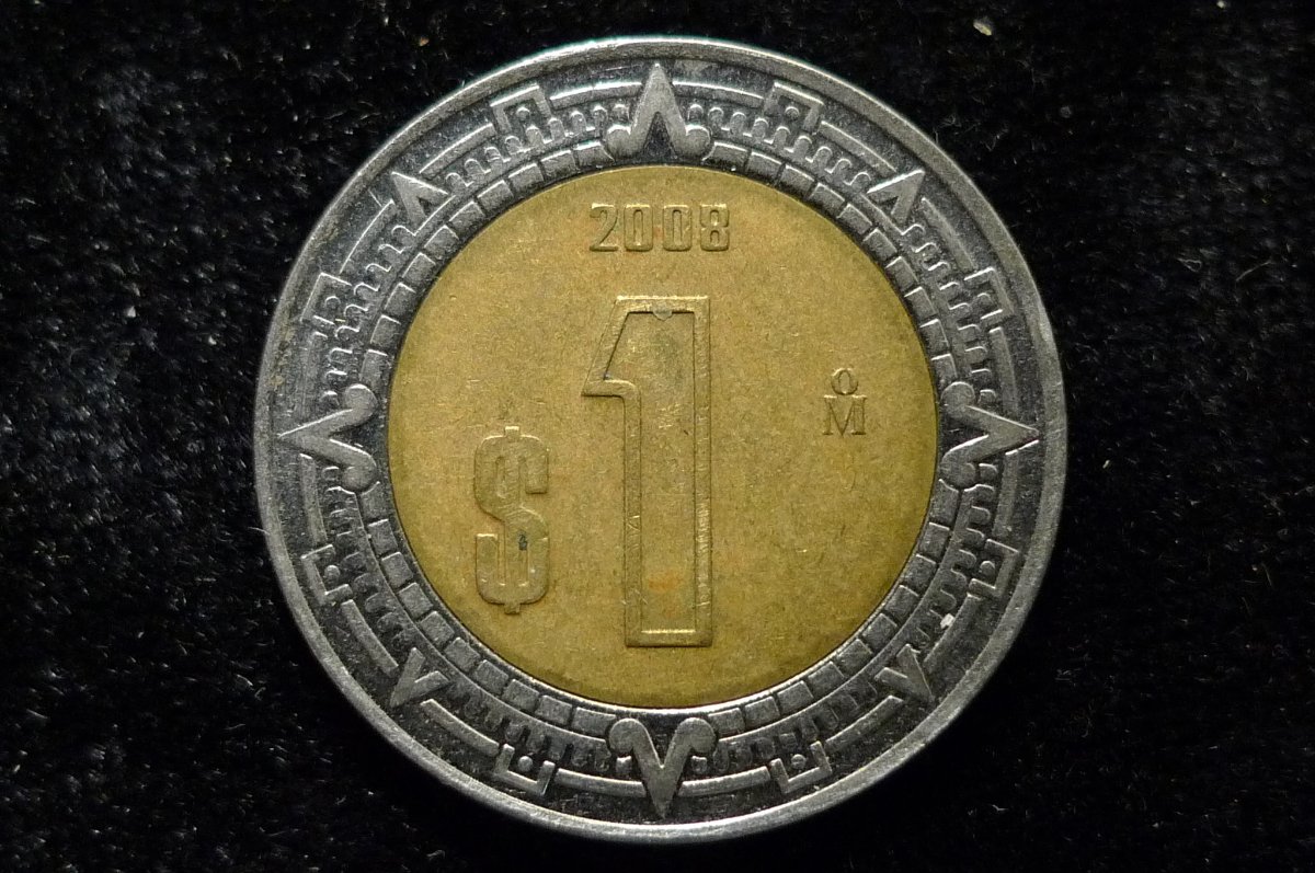 Post-Your-Coins-Representing-The-Animal-Kingdom.