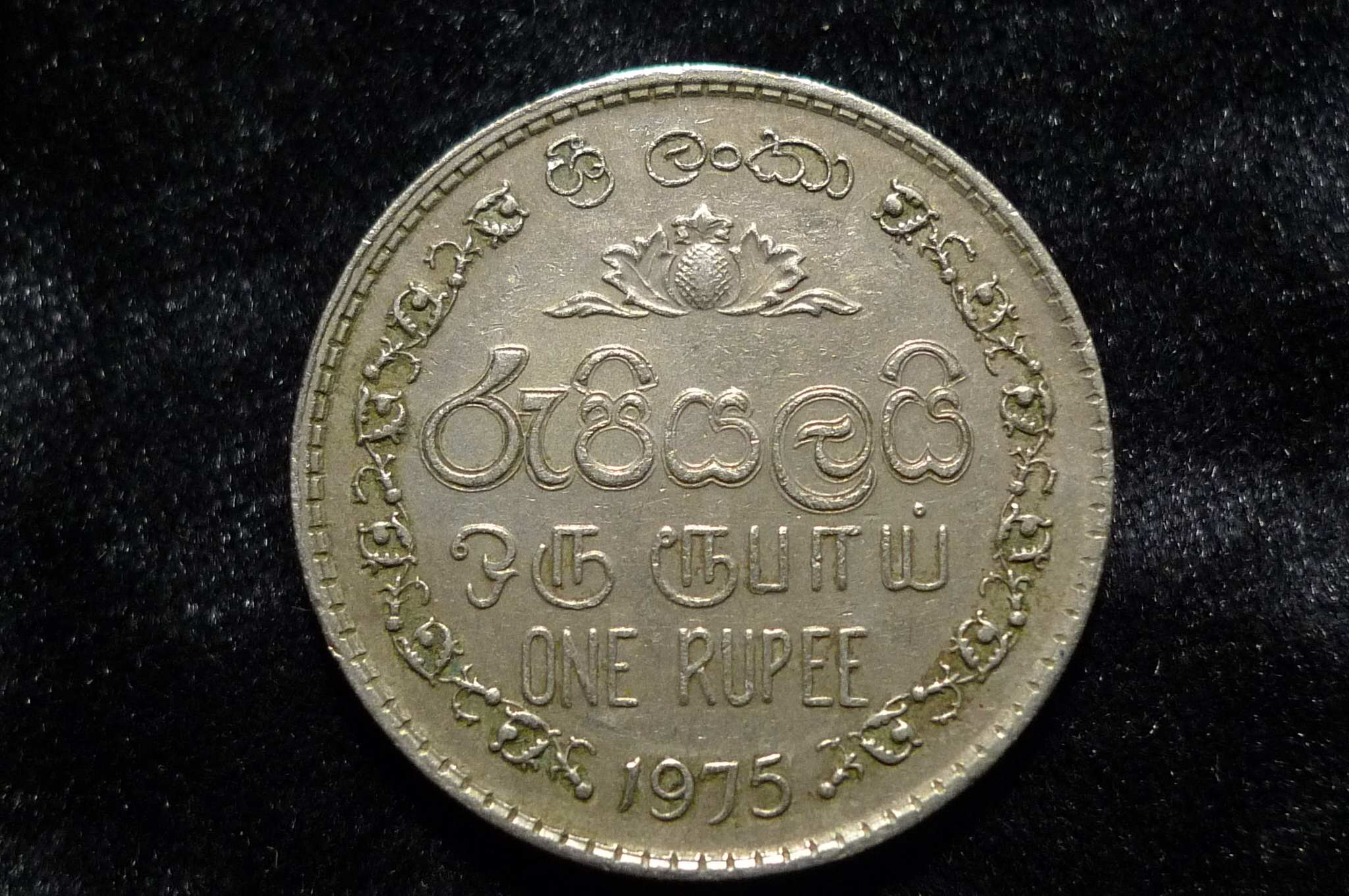 Post-Your-Sun-Face,-Sunrise,-Or-Sunset-Coins!
