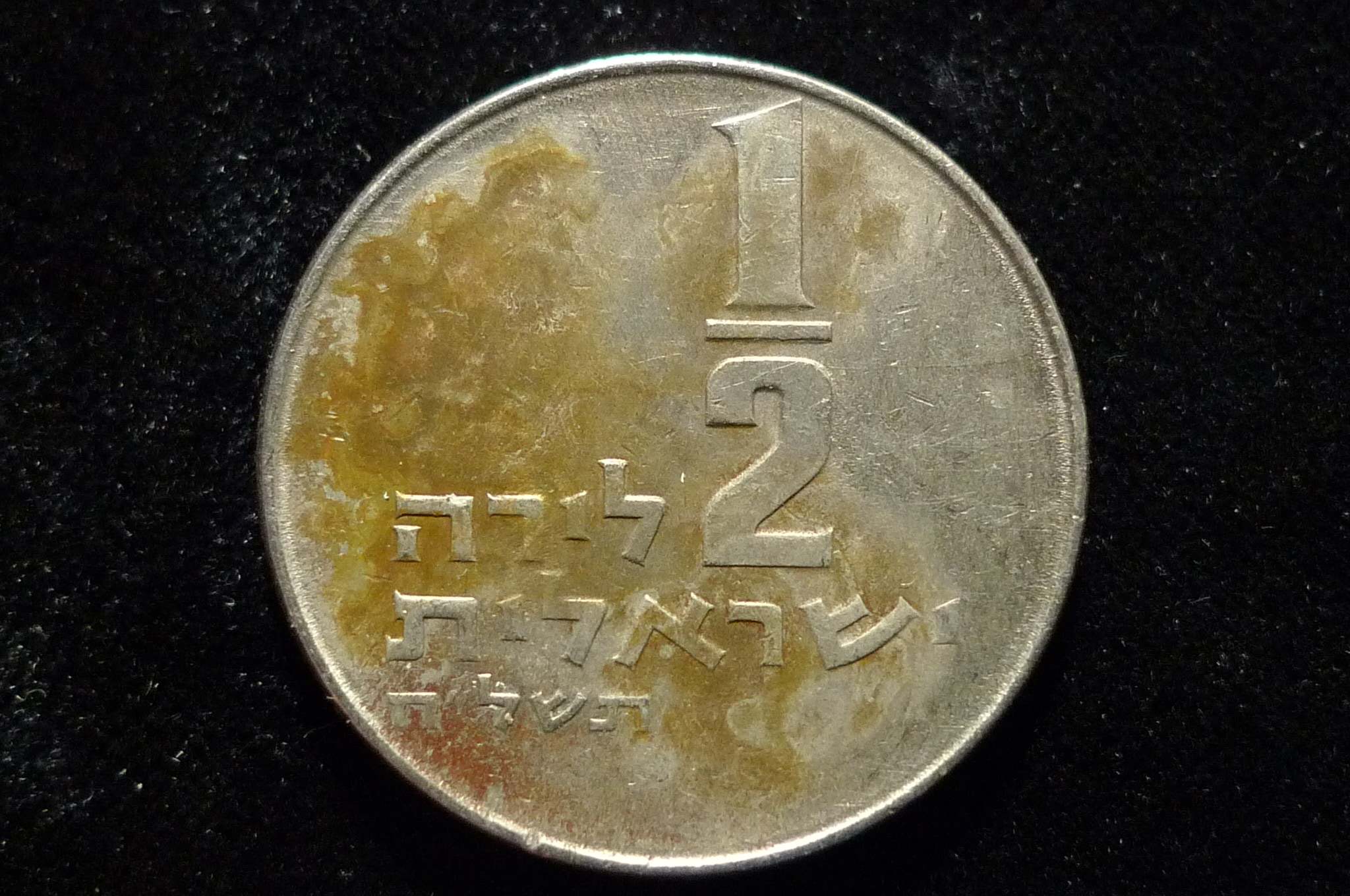 Post-Your-Coins-Representing-The-Animal-Kingdom.