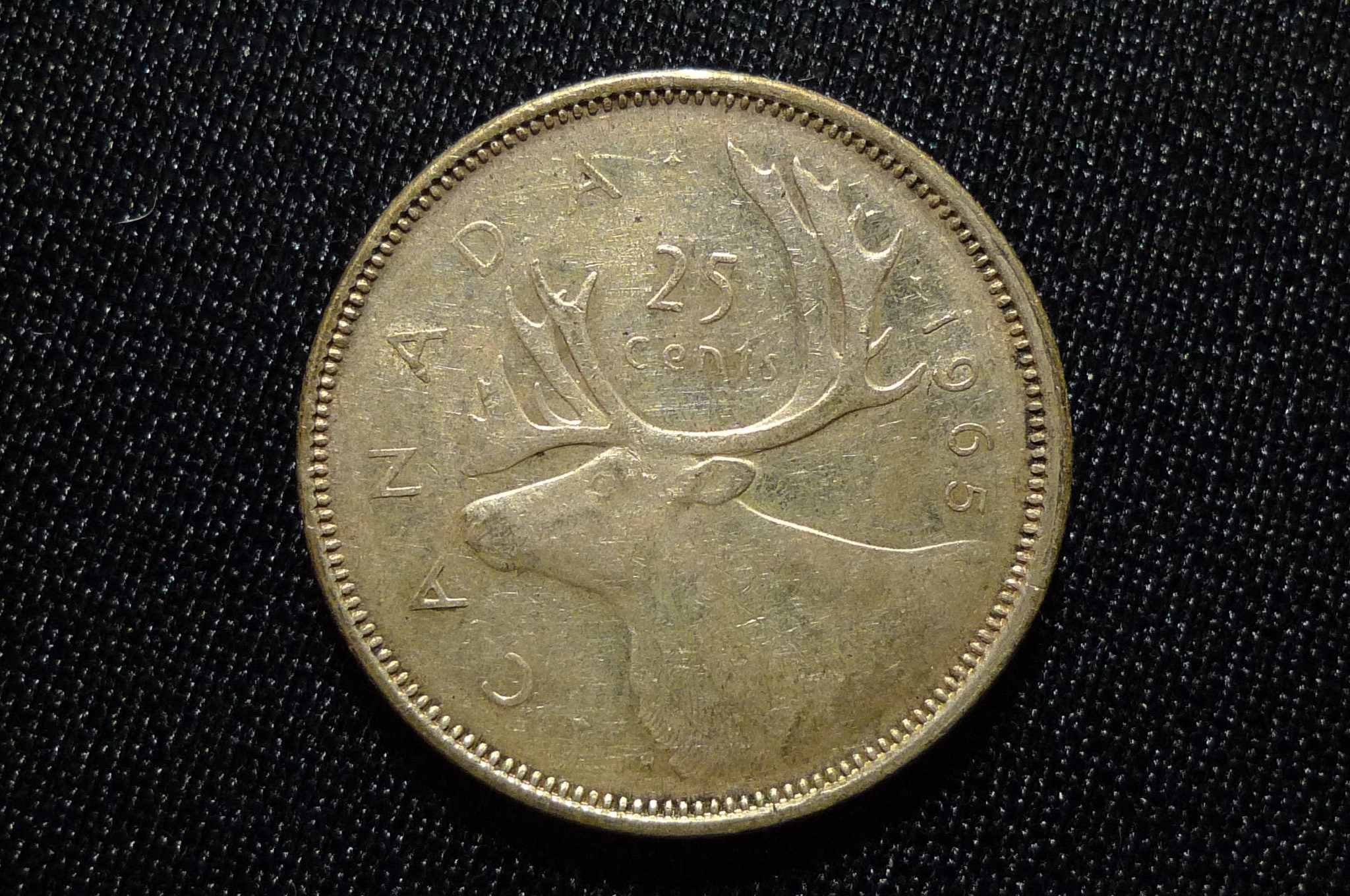 Post-Your-Coins-Representing-The-Animal-Kingdom.