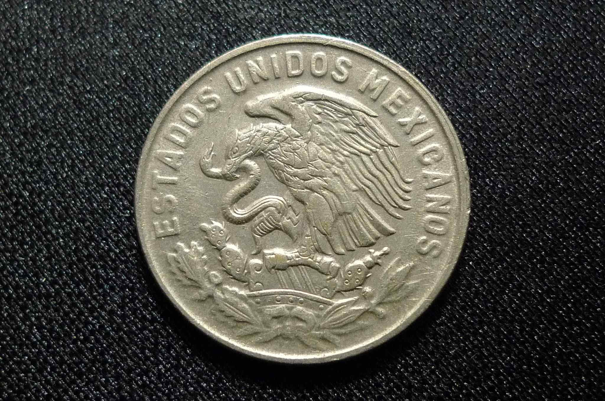 Post-Your-Coins-Representing-The-Animal-Kingdom.