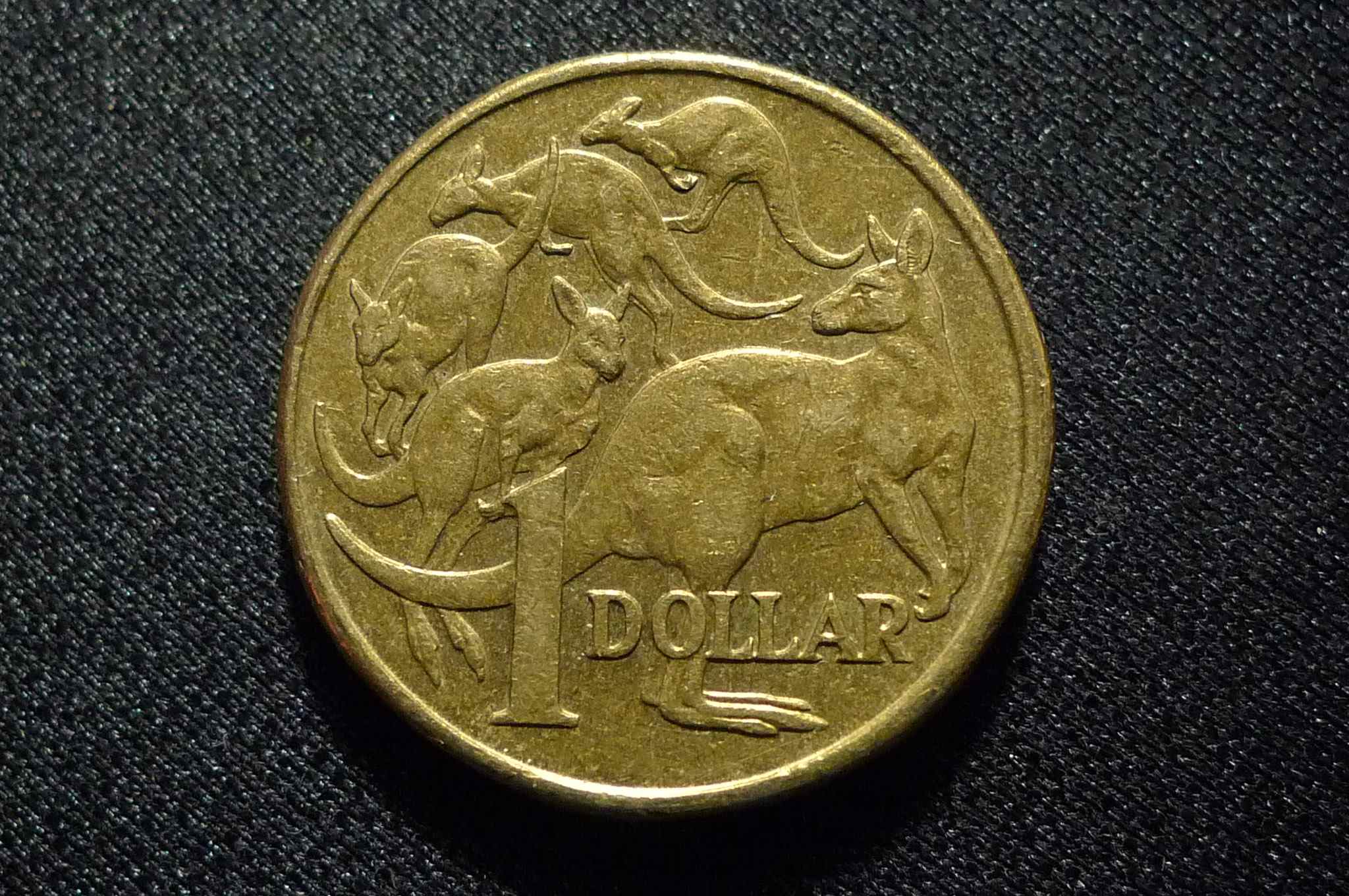 Post-Your-Coins-Representing-The-Animal-Kingdom.