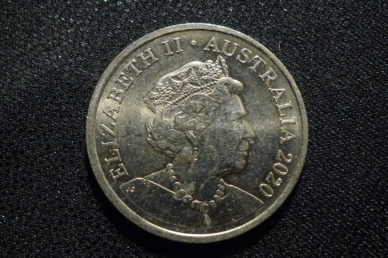 Post-Your-Coins-Representing-The-Animal-Kingdom.