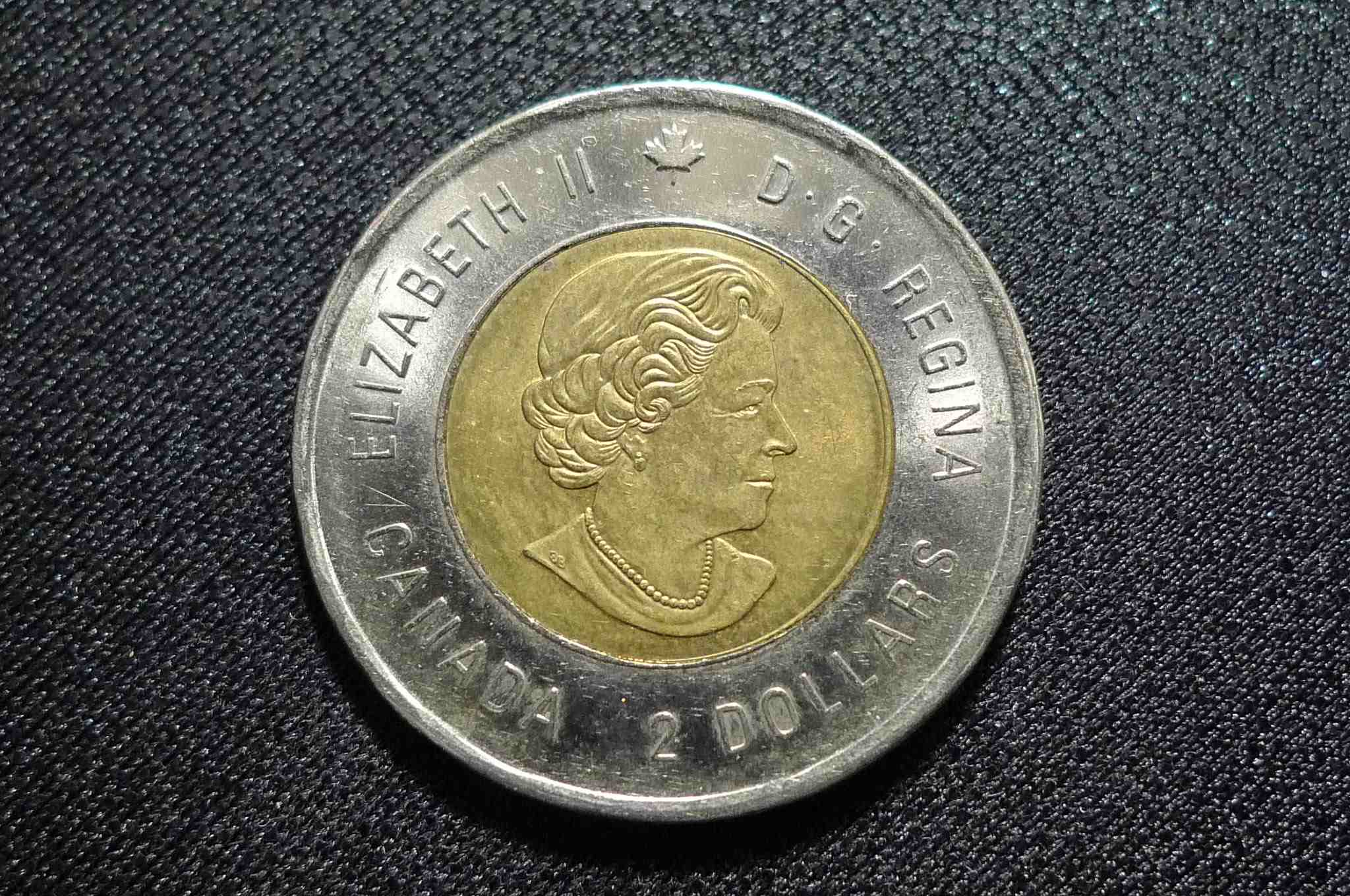 Interesting-Find-From-Circulation