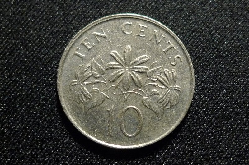 Post-Your-Lion-Coins!