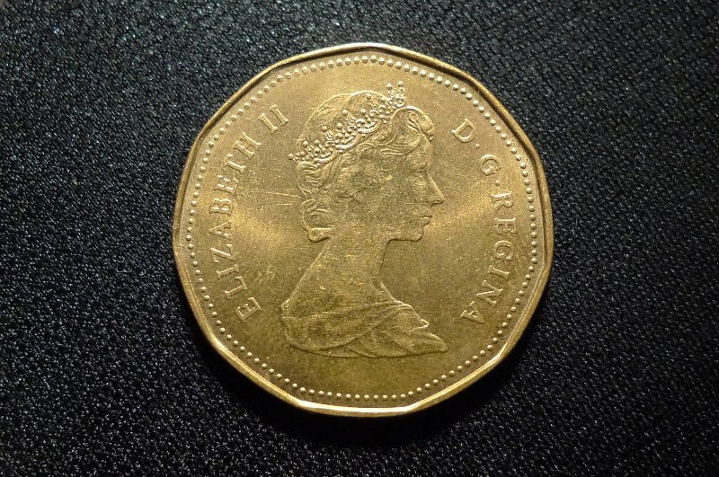 Interesting-Find-From-Circulation