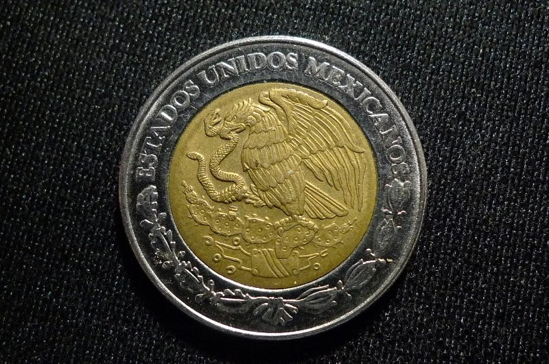 Post-Your-Coins-Representing-The-Animal-Kingdom.