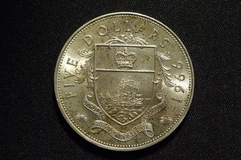 Post-Your-Coins-With-Hats