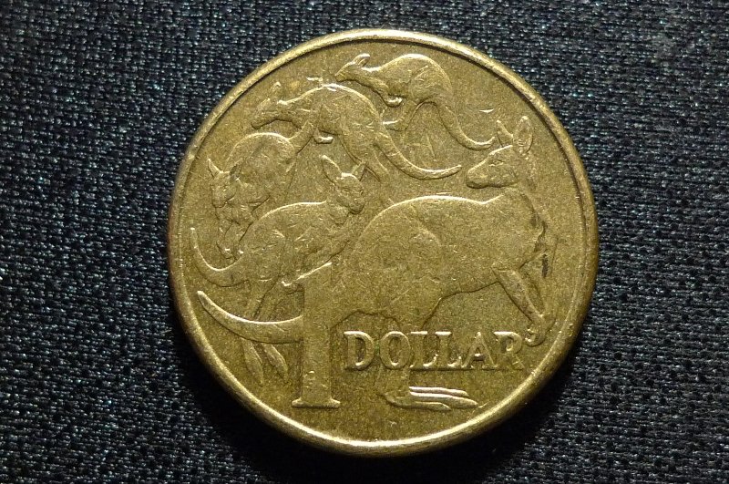 Post-Your-Coins-Representing-The-Animal-Kingdom.