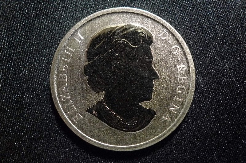 Post-Your-Bird-Coins