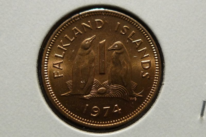 Post-Your-Bird-Coins