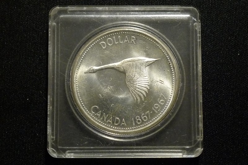 Post-Your-Bird-Coins