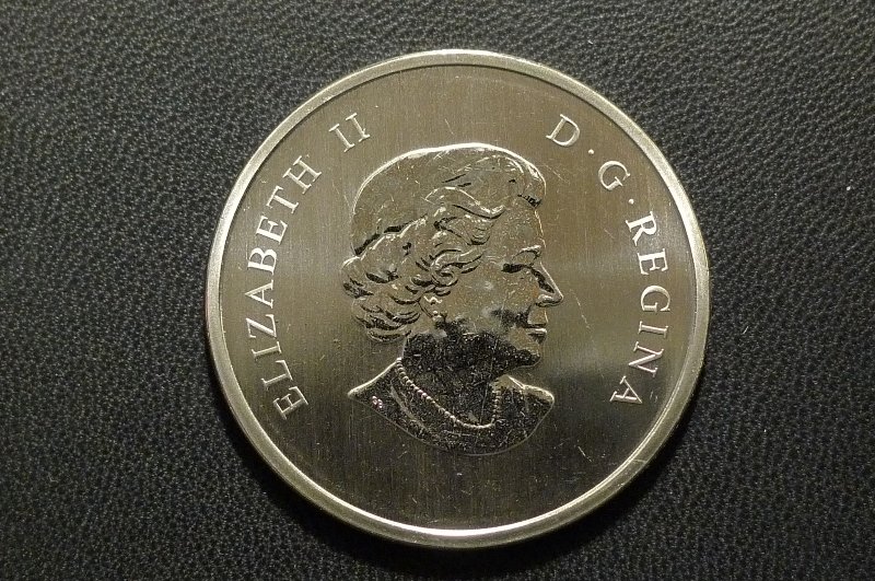 Post-Your-Bird-Coins