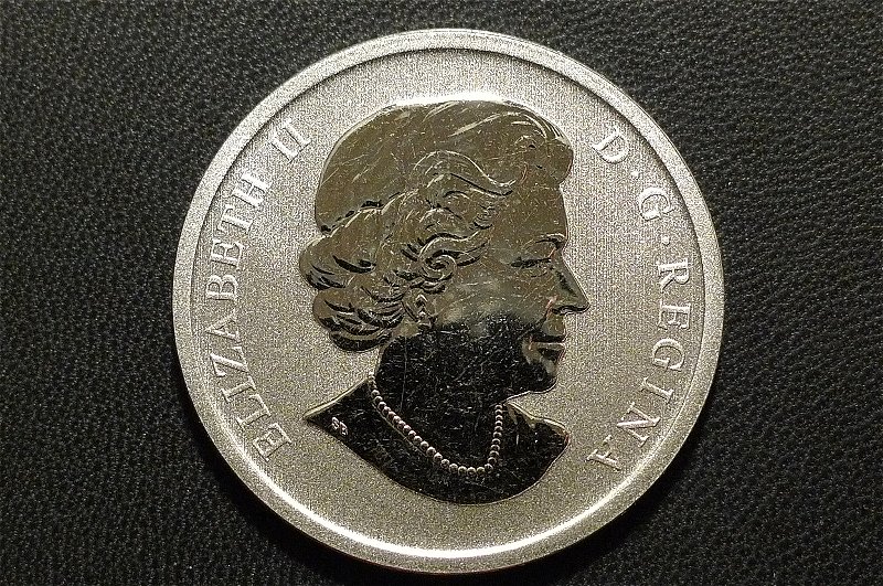 Post-Your-Bird-Coins