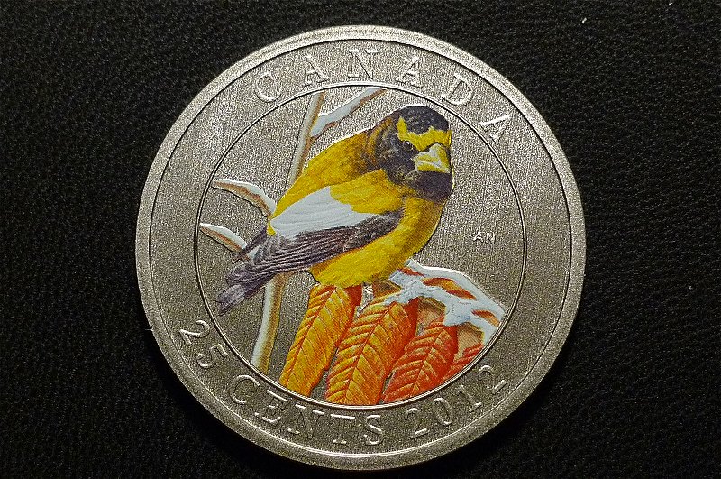 Post-Your-Bird-Coins