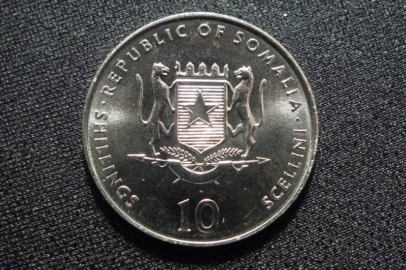 Post-Your-Coins-Representing-The-Animal-Kingdom.