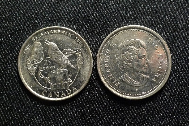 Post-Your-Bird-Coins
