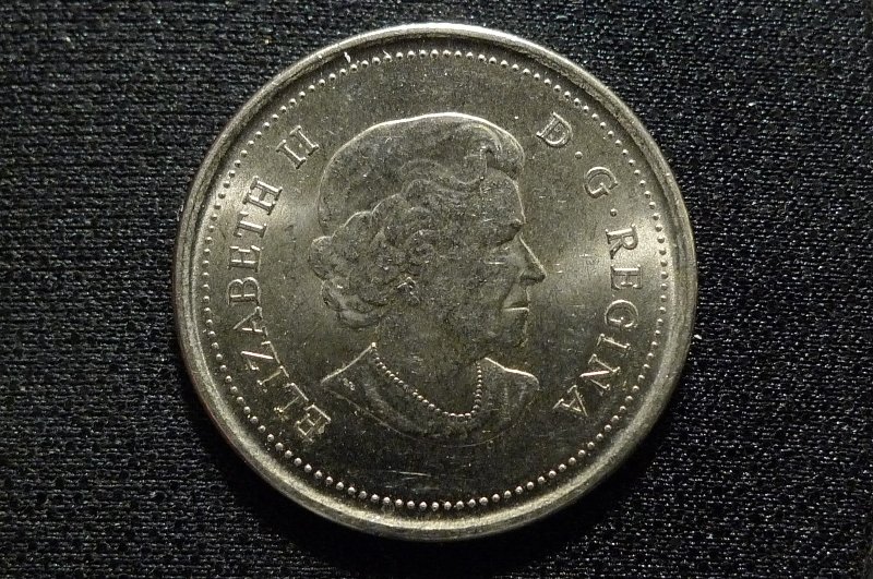 Post-Your-Coins-Representing-The-Animal-Kingdom.