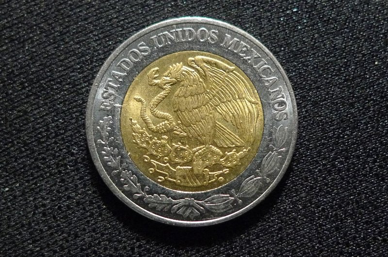 Post-Your-Coins-Representing-The-Animal-Kingdom.