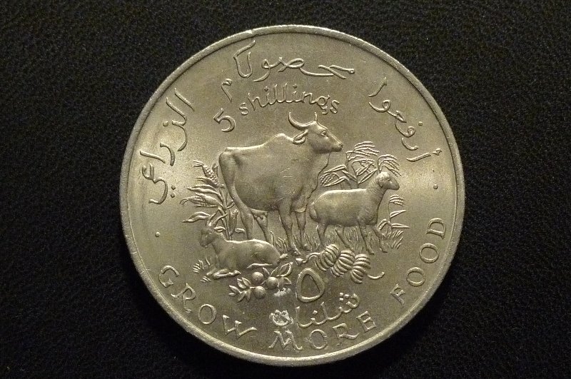 Show-Your-Coins-With-Fruit.