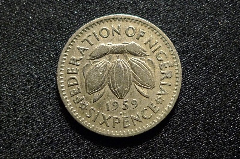 Show-Your-Coins-With-Fruit.