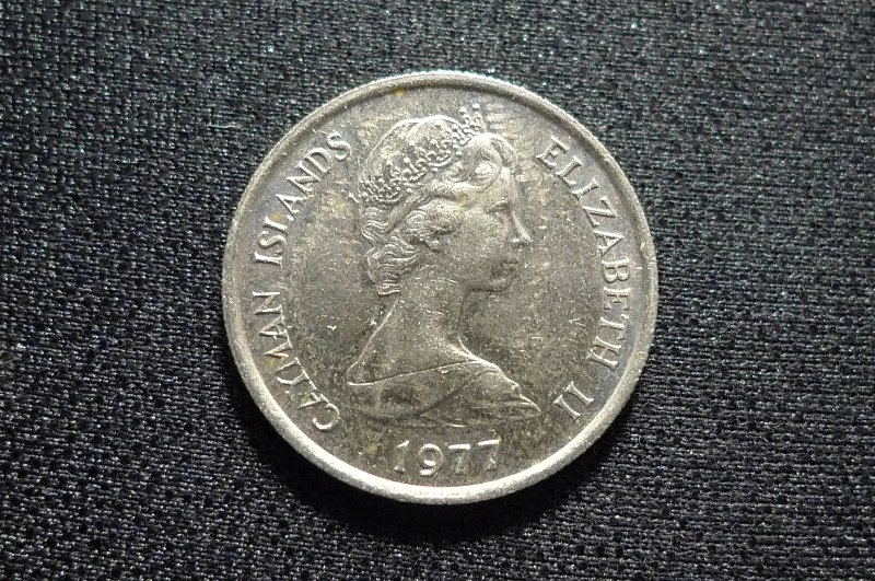 Post-Your-Coins-Representing-The-Animal-Kingdom.