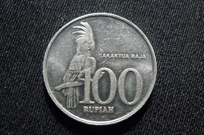 Post-Your-Bird-Coins