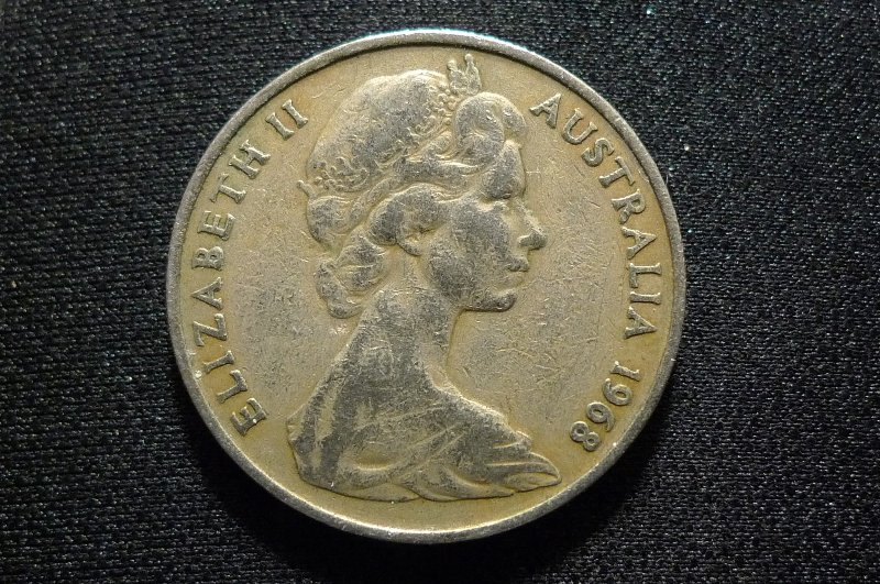 Post-Your-Coins-Representing-The-Animal-Kingdom.