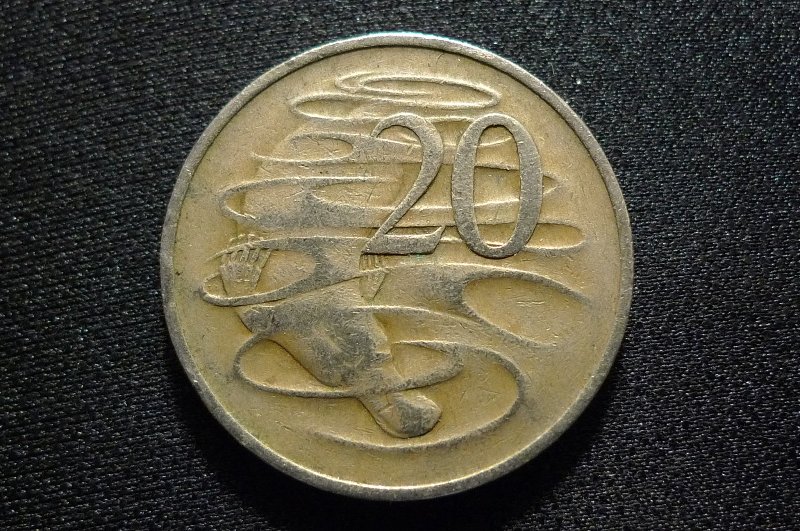 Post-Your-Coins-Representing-The-Animal-Kingdom.