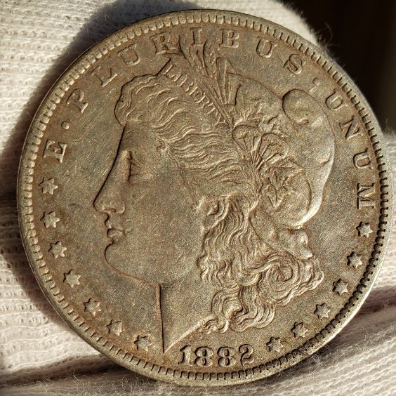 Couple-Morgan-Dollars-To-Check
