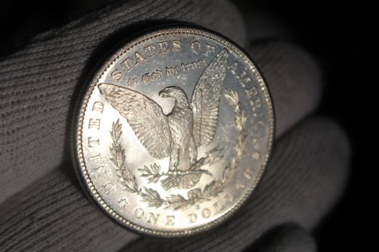 Couple-Morgan-Dollars-To-Check
