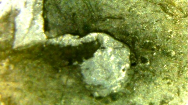 Error-Dime-Or-Just-Damaged?