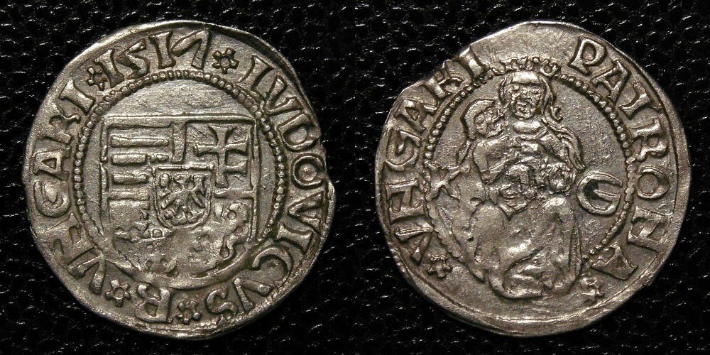 Hungarian-Denar-New-Purchases