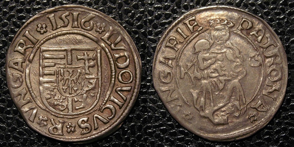 Hungarian-Denar-New-Purchases