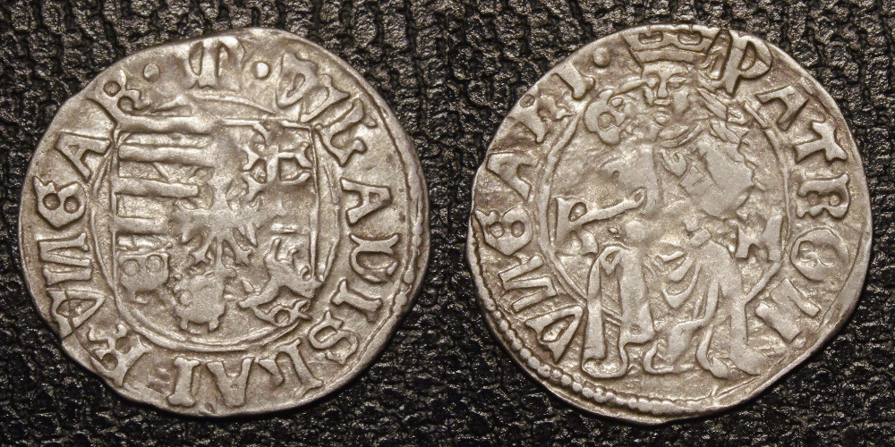 Hungarian-Denar-New-Purchases