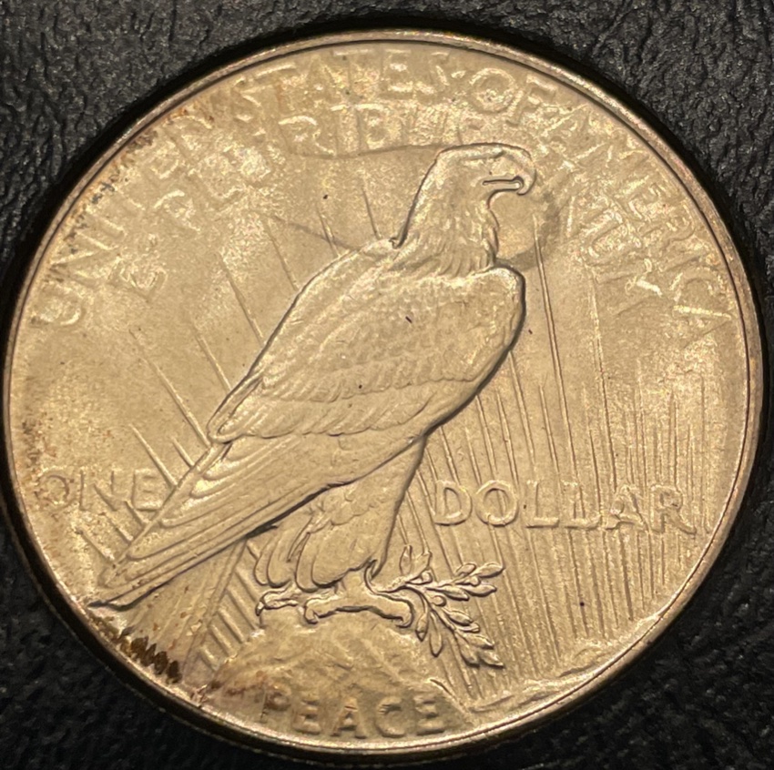 1934-Peace-Dollar---New-Variety?