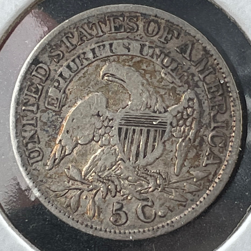 Any-Half-Dime-Collectors-Here?
