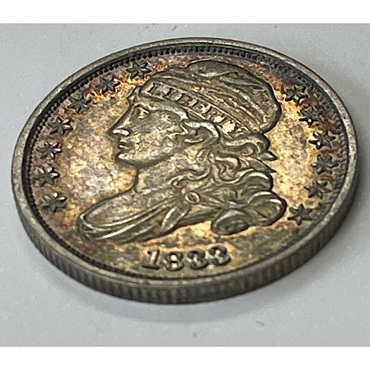 1833-Dime---What-Do-You-Think-It-Grades?