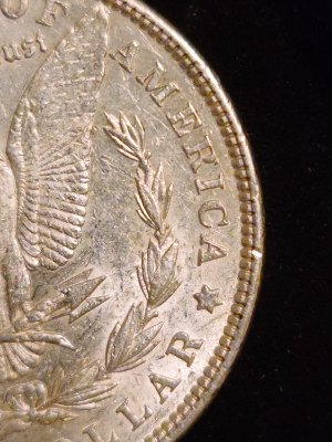 Clashing-All-Over-This-1889-Morgan-Dollar?
