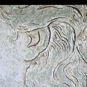 Clashing-All-Over-This-1889-Morgan-Dollar?