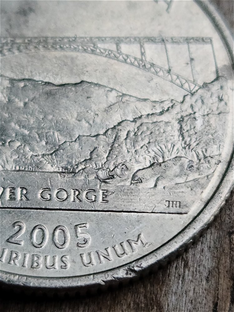 2005-P--West-Virginia-Struck-Through-On-Reverse?
